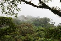 Valle de Los Quetzales - Nebelwald &ndash; &copy; Annett Müller (Eberhardt TRAVEL)